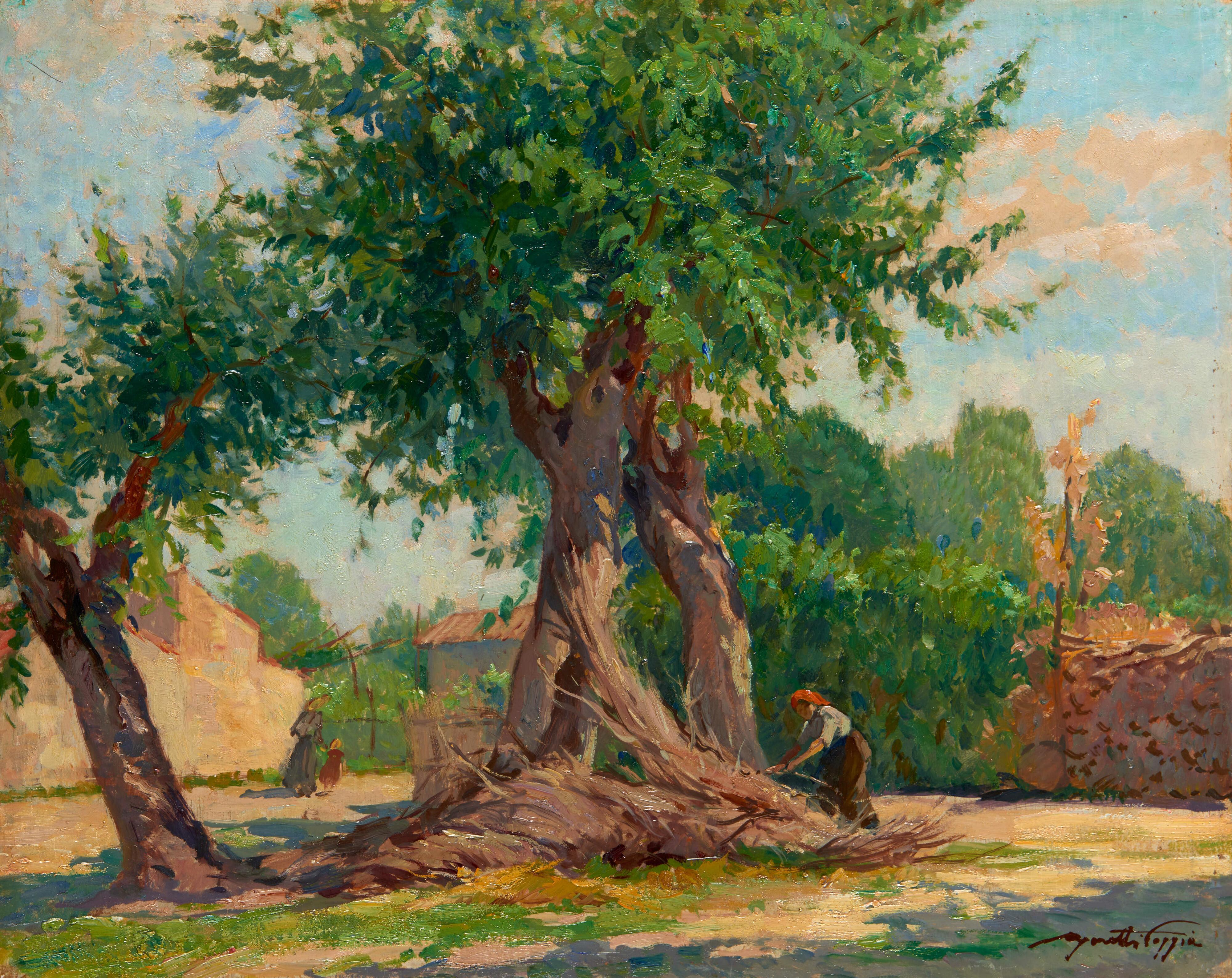 Mario Moretti Foggia - Vecchi gelsi