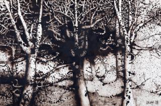 Mario Prassinos - Arbres