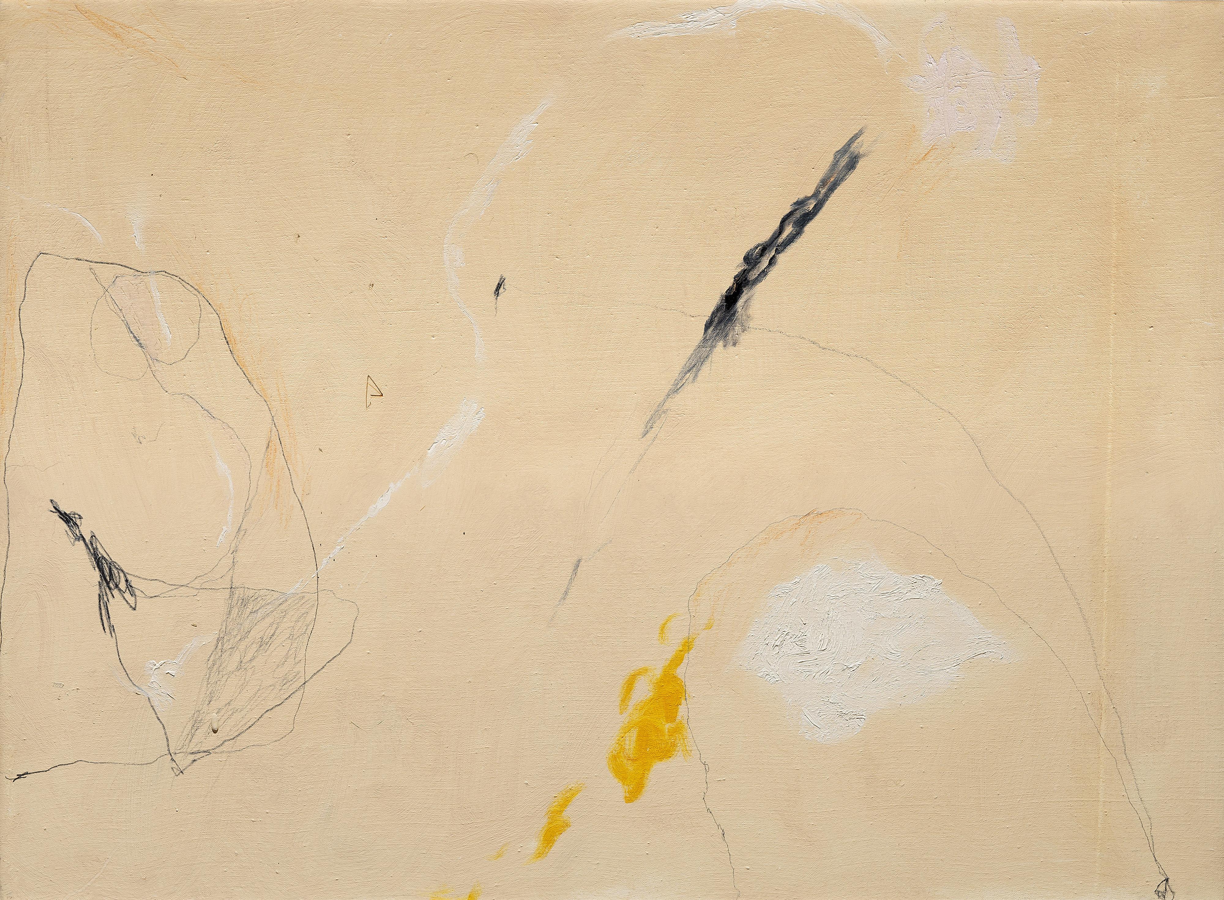 Mario Raciti - Presenze assenze