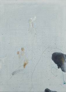 Mario Raciti - Presenze-Assenze