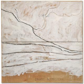 Mario Schifano - Grande Particolare (Large Detail)