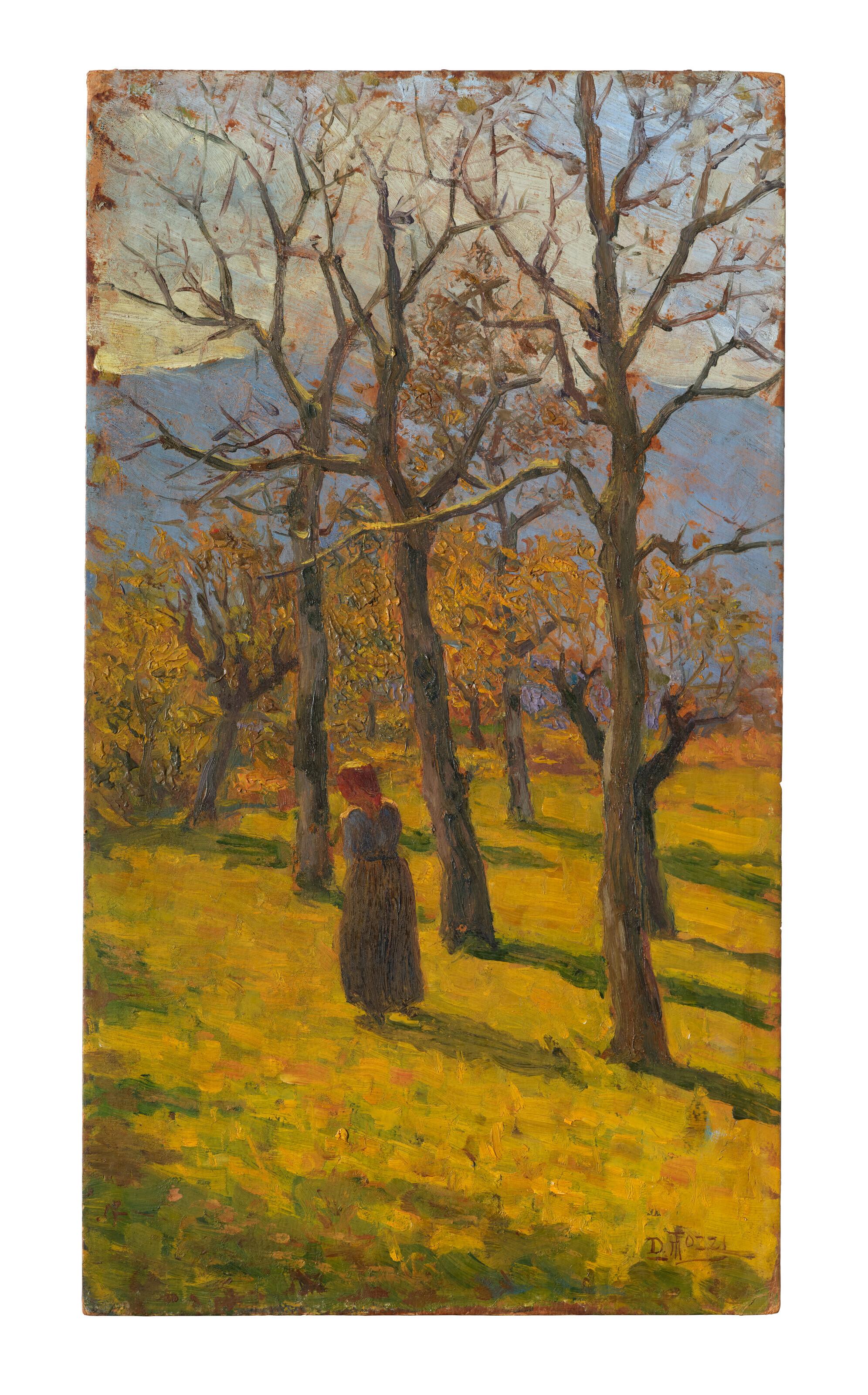 Mario Tozzi - Nel bosco di Cavandone