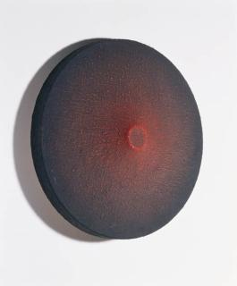 Marion Borgelt - Bloodlight Star (Figure B)