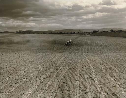 Marion Post Wolcott - Shenandoah Valley, Va., 1939