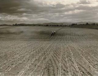 Marion Post Wolcott - Shenandoah Valley, Va., 1939