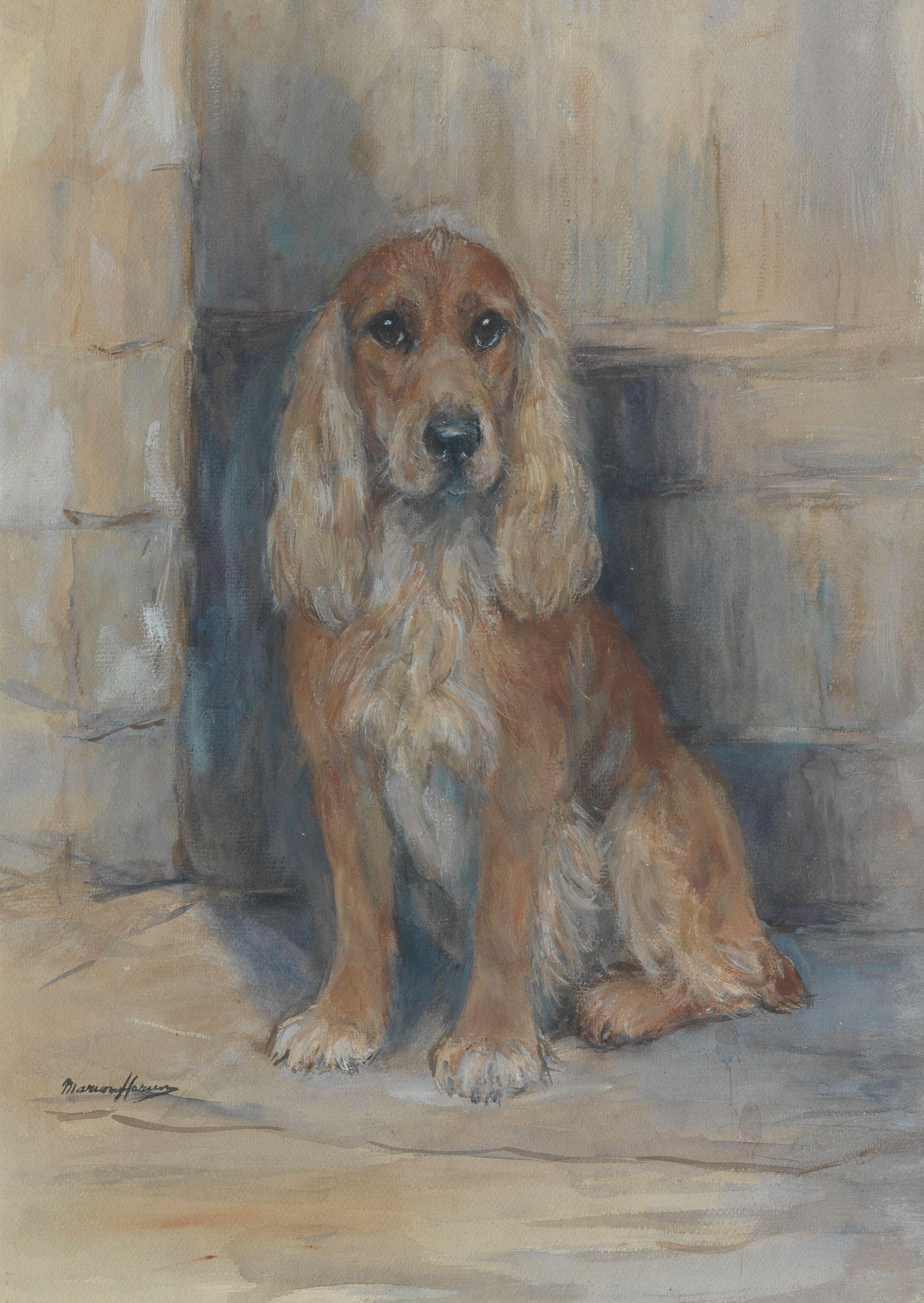 Marion Rodger Hamilton Harvey - A Brown Cocker
