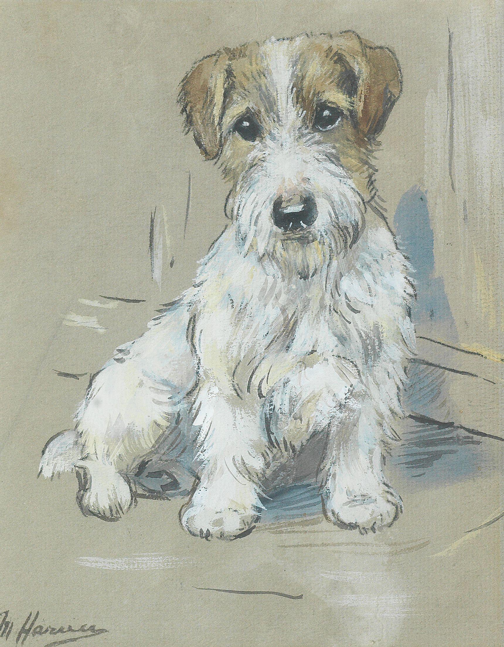 Marion Rodger Hamilton Harvey - A Russell Terrier