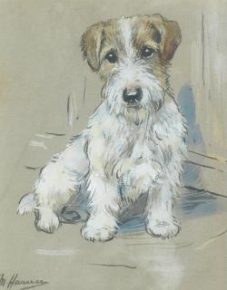 Marion Rodger Hamilton Harvey - A Russell Terrier