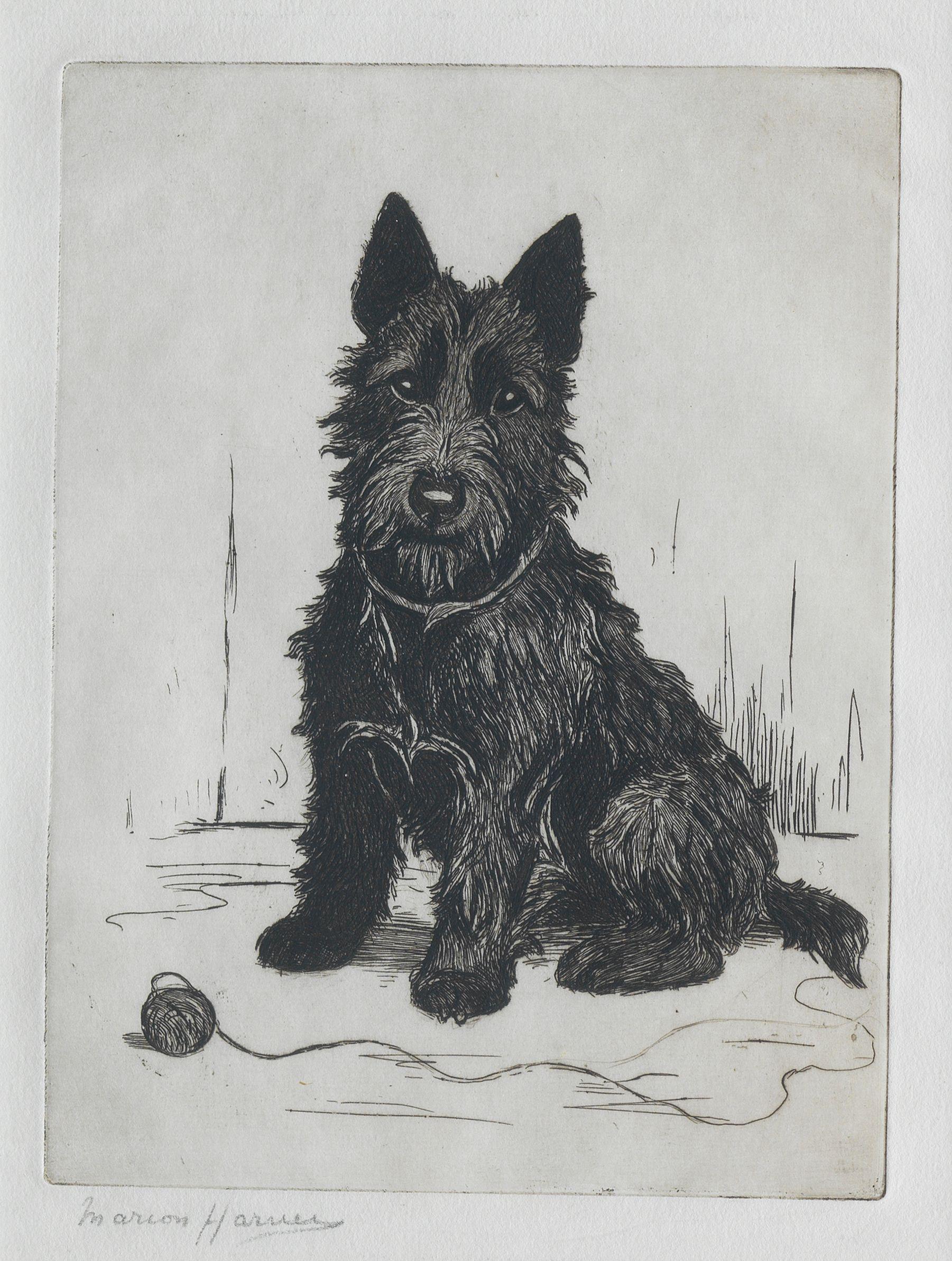 Marion Rodger Hamilton Harvey - A Scottish Terrier