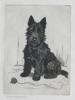 Marion Rodger Hamilton Harvey - A Scottish Terrier