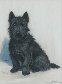 Marion Rodger Hamilton Harvey - A seated Scottish Terrier