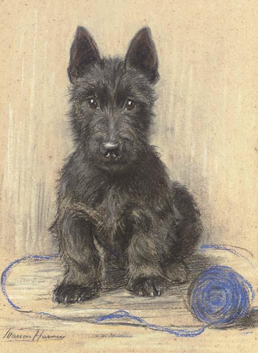 Marion Rodger Hamilton Harvey - Sandy, A Scottish Terrier