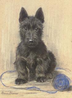 Marion Rodger Hamilton Harvey - Sandy, A Scottish Terrier