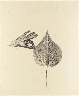 Marisol - Hand in Leaf (Universal Limited Art Editions 18)