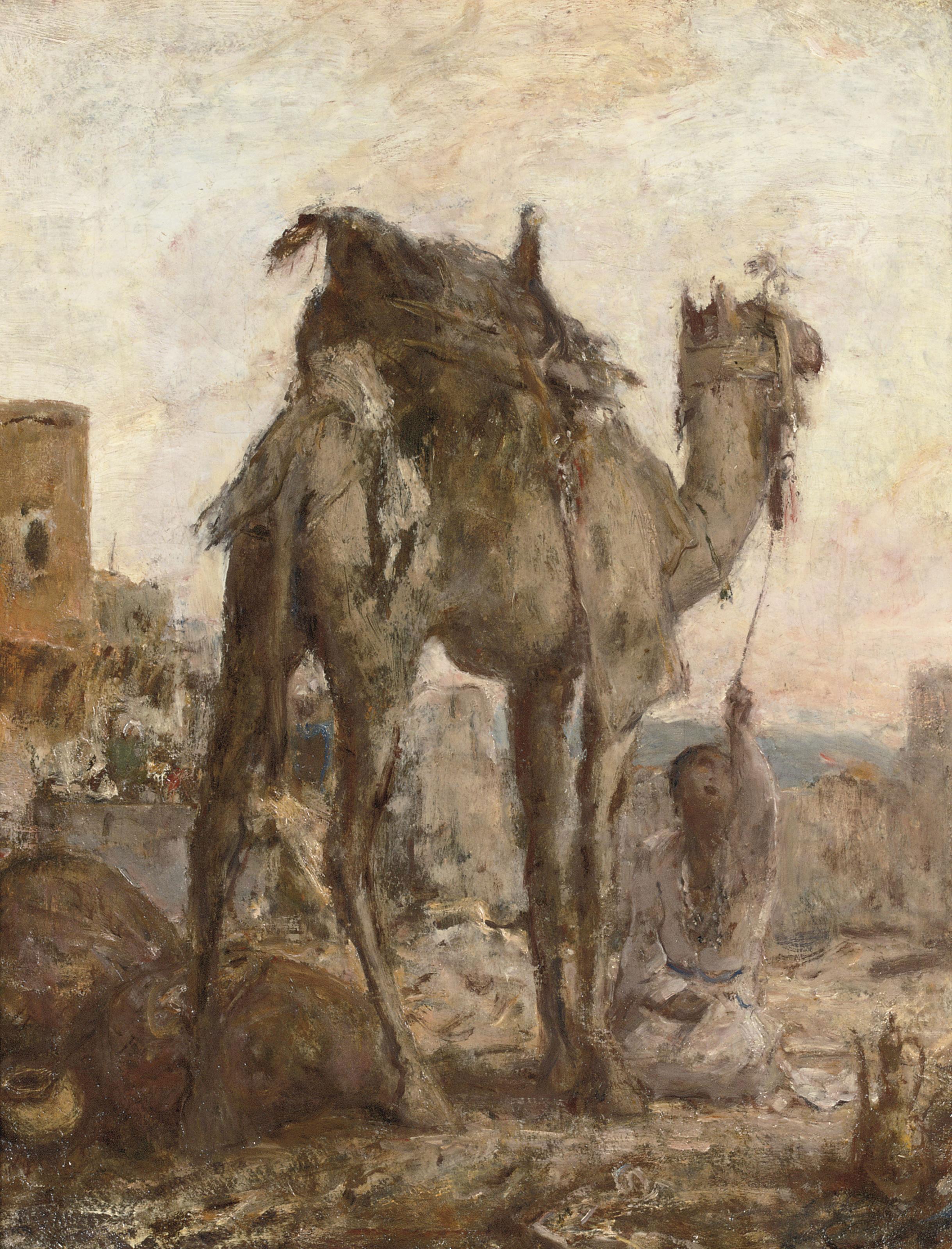 Marius Bauer - Kameel