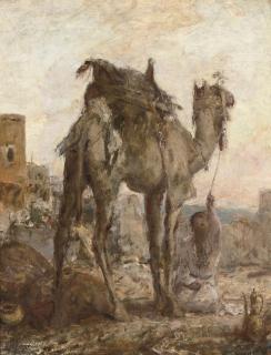 Marius Bauer - Kameel