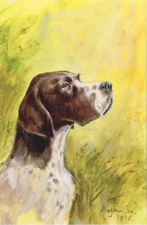 Marjorie Cox - A pointer