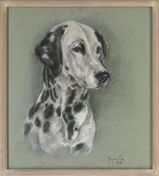Marjorie Cox - Dalmation