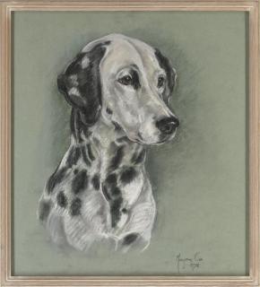 Marjorie Cox - Dalmation