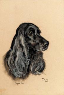 Marjorie Cox - Jan, a cocker spaniel