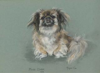 Marjorie Cox - Miss Dior