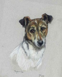 Marjorie Cox - \'Pip\', the Jack Russell