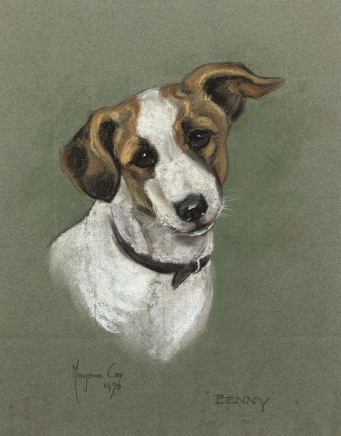 Marjorie Cox - Study of the Jack Russell \'Benny\'