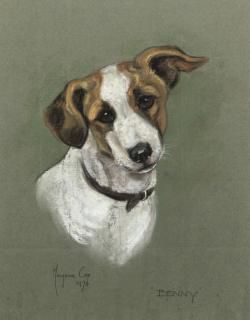 Marjorie Cox - Study of the Jack Russell \'Benny\'