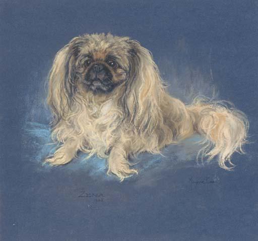 Marjorie Cox - Zena, a pekingese