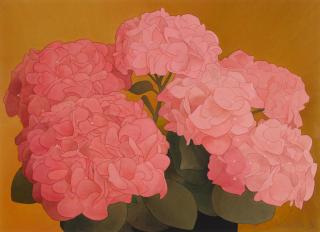 Mark Adams - Pink Hydranga, 1995