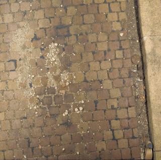 Mark Boyle - Cobbles Study with Gutter and old Shoe