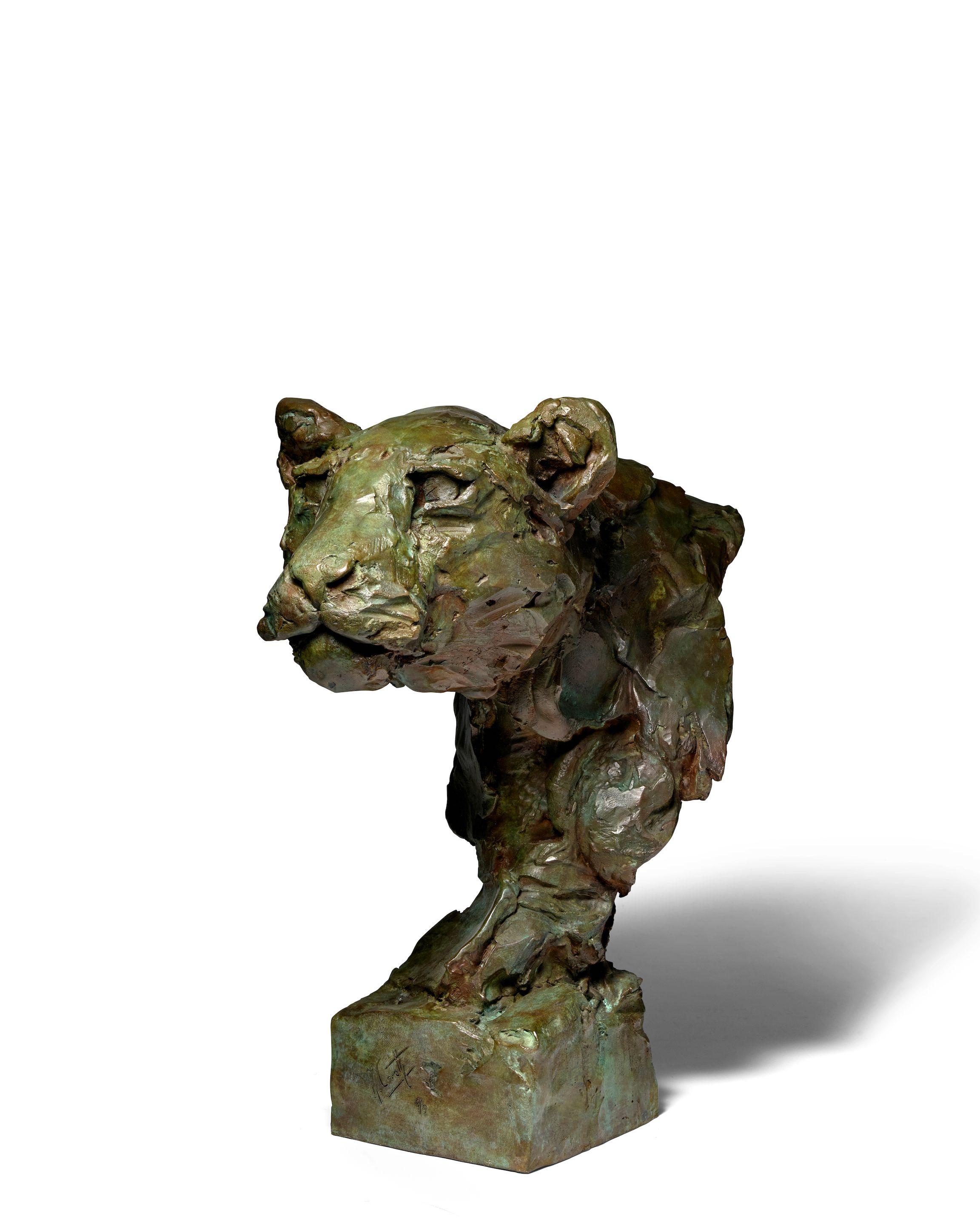 Mark Coreth - Leopard Bust