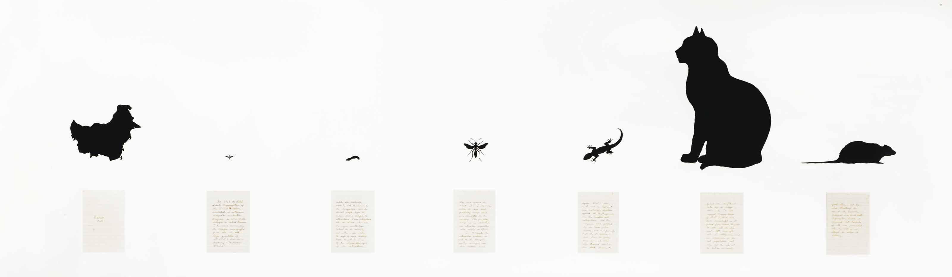 Mark Dion - Concentration