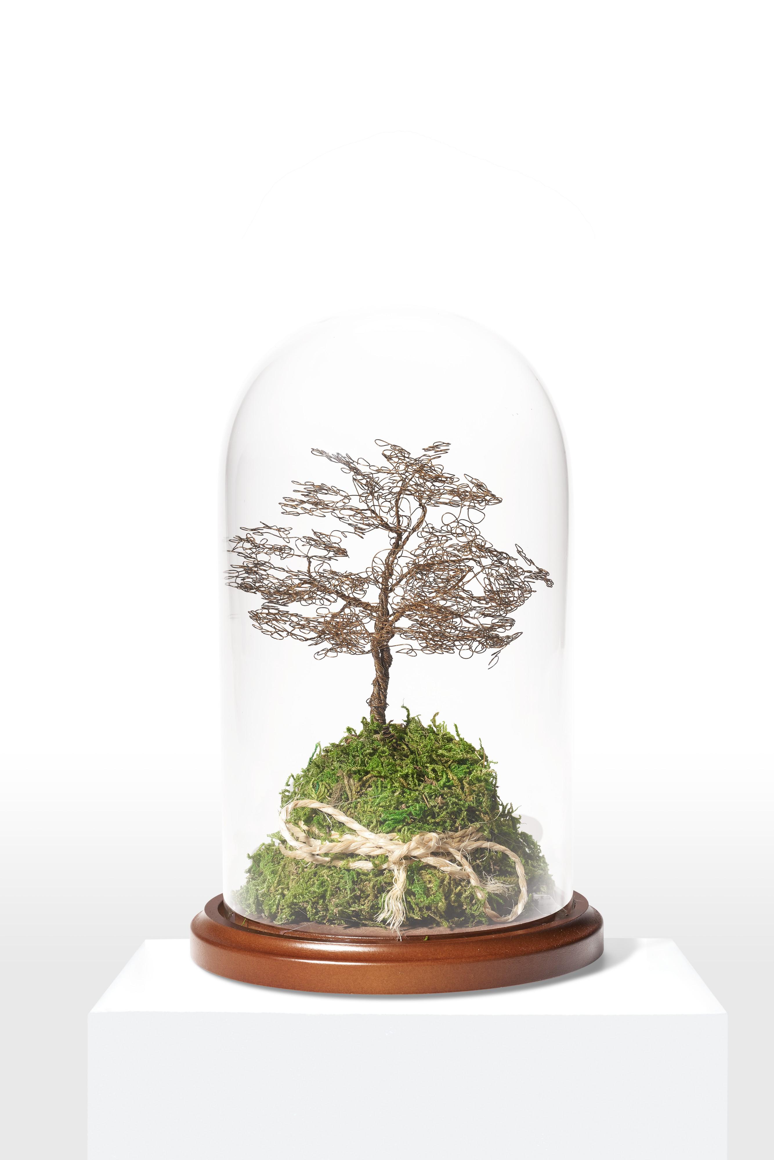 Mark Espinosa - Negative Tree