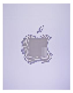 Mark Flood - Apple 6, 2013