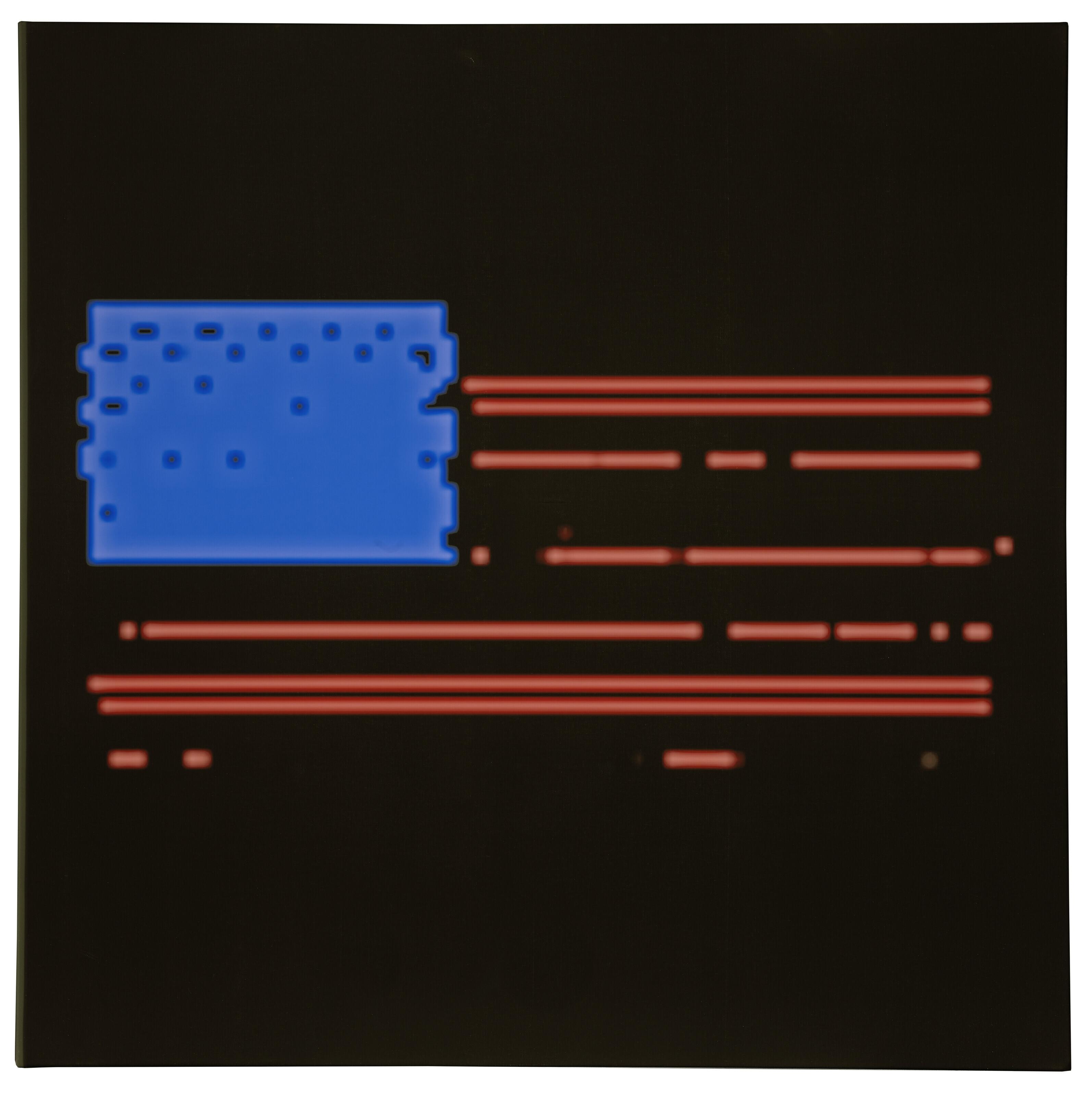 Mark Flood - SKYNET Flag
