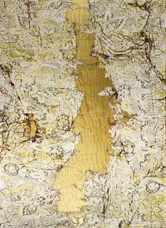 Mark Flood - Star Channel