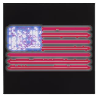 Mark Flood - Times Square Flag