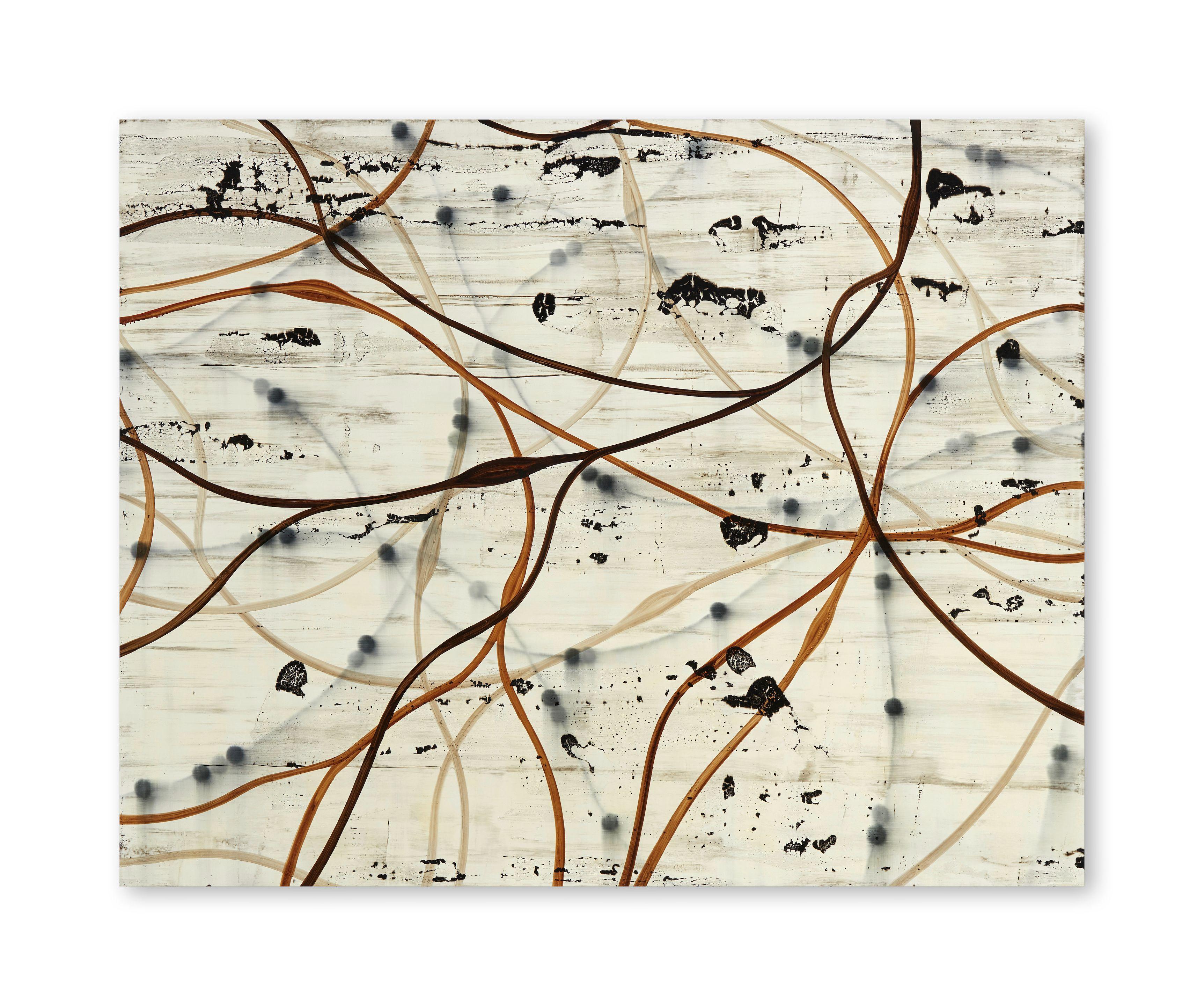 Mark Francis - Circuit