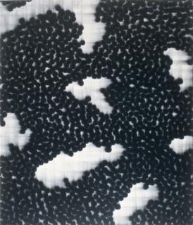 Mark Francis - Division