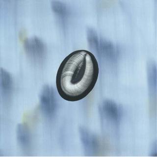 Mark Francis - Ovum (small)