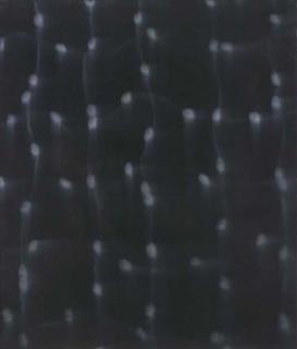 Mark Francis - Section no. 2