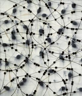 Mark Francis - Symbiosis (Mesh)