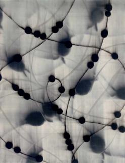 Mark Francis - Untitled