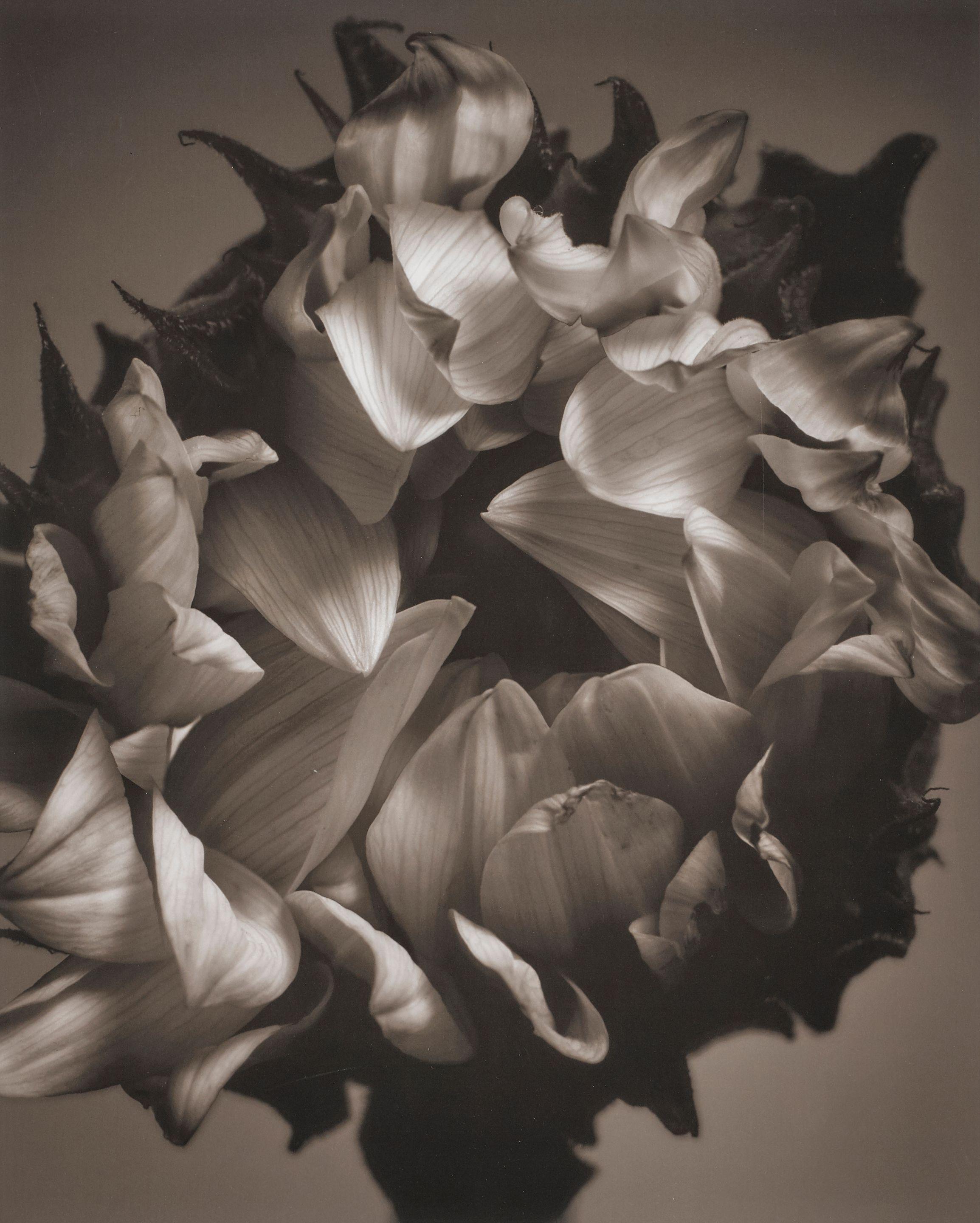 Mark Jenkins - Untitled, 2006