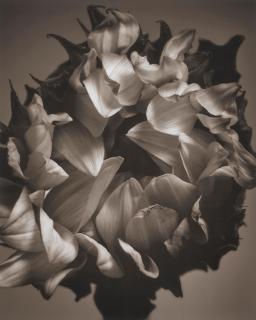 Mark Jenkins - Untitled, 2006