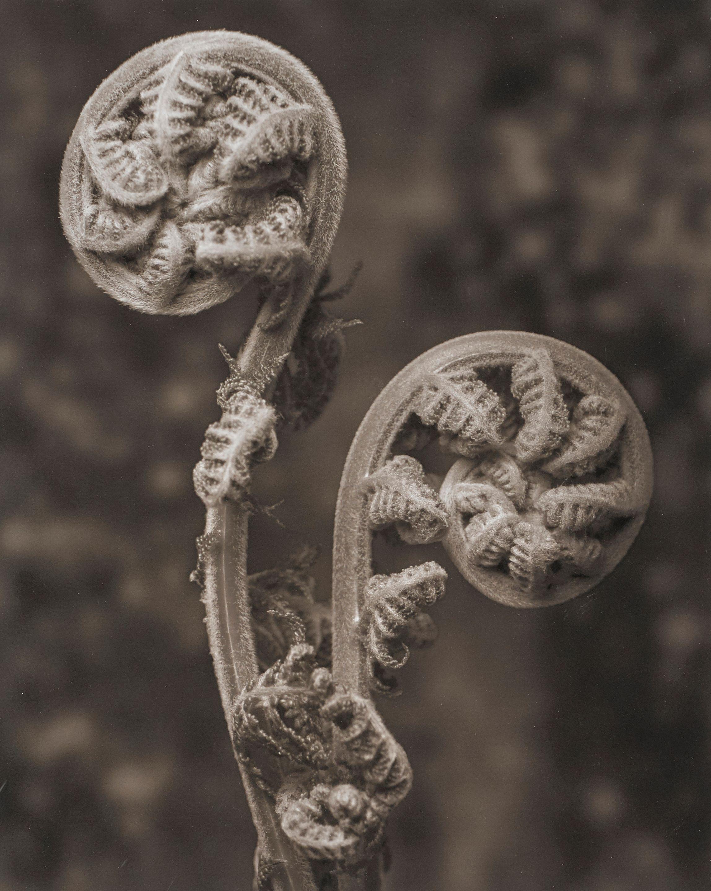 Mark Jenkins - Untitled, 2006