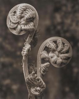 Mark Jenkins - Untitled, 2006