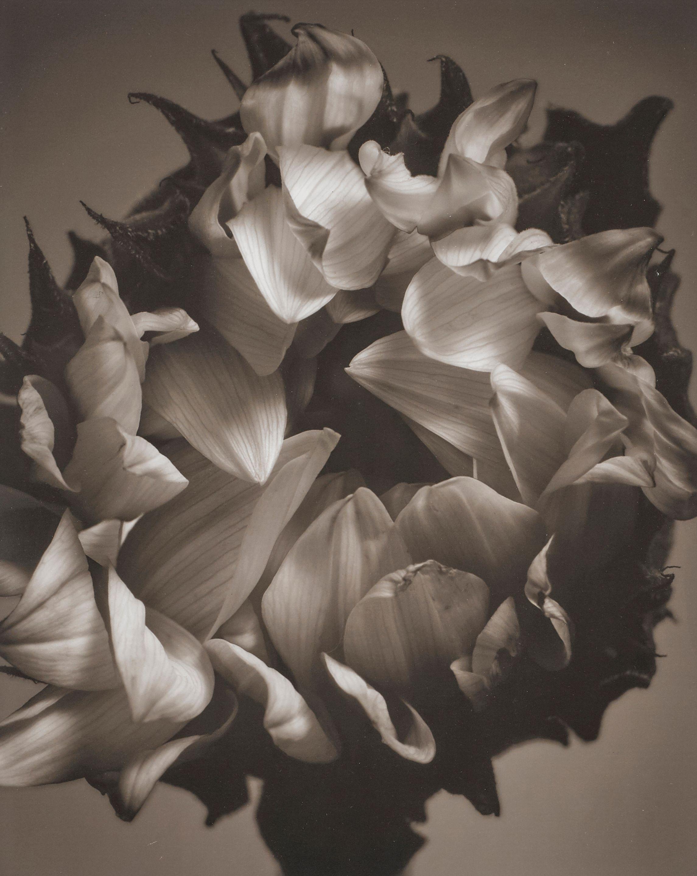 Mark Jenkins - Untitled, 2006