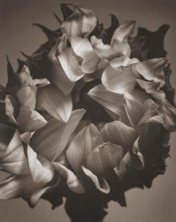 Mark Jenkins - Untitled, 2006